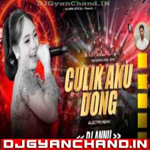 Anana Pattiya Culik Aku Dong Instagram Viral Remix - DJ Annu Gopiganj Anana Pattiya Culik Aku Dong Instagram Viral Remix - DJ Annu Gopiganj